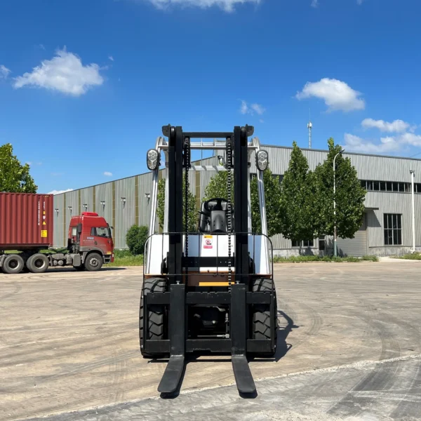 IMG_E0500 3 ton electric forklift