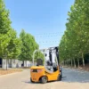 1 ton Electric Forklift