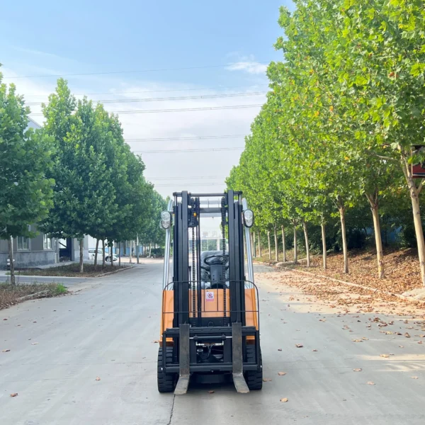 IMG_E8788 2 ton electric forklift