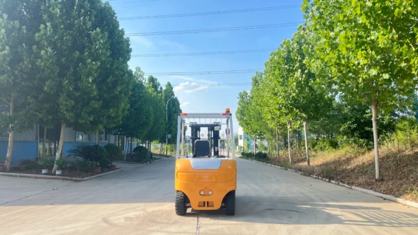 IMG_E9307 4-ton Electric Forklift