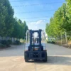 IMG_E9311 5 ton electric forklift